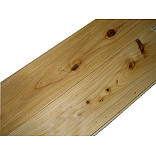 ���ľ��Ԕ����B