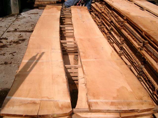 beech lumber��Ԕ��(x��)��B