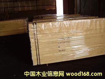 �c���鿴���ް�ľ�Ŵ�DƬ