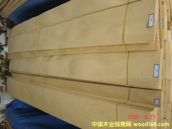 �c(di��n)���鿴Golden Birch�Ŵ�DƬ