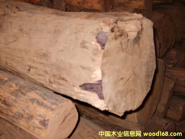 ����֦��Ԕ����B