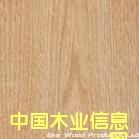 �ľɽ�y��Ԕ����B