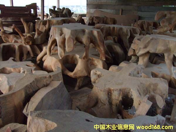 ����5��Ԕ��(x��)��B