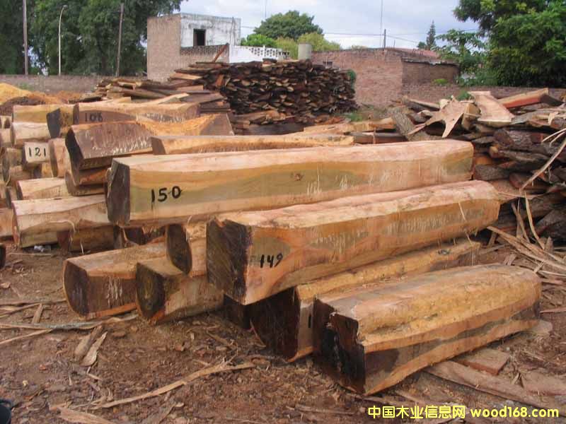 ��ρľ��Ԕ��(x��)��B