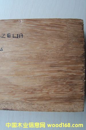 ���޾��ѵ�Ԕ����B