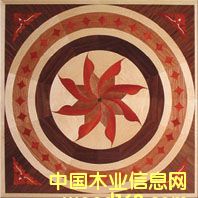 �c���鿴NSF-F6-Hua007�Ŵ�DƬ