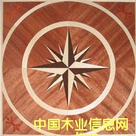 �c���鿴NSF-F6-Hua006�Ŵ�DƬ