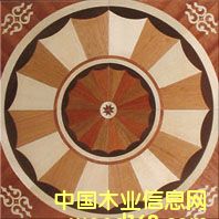 �c���鿴NSF-F6-Hua005�Ŵ�DƬ