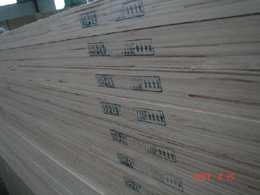 ȫ�� ͩ��LVL LVB LVS