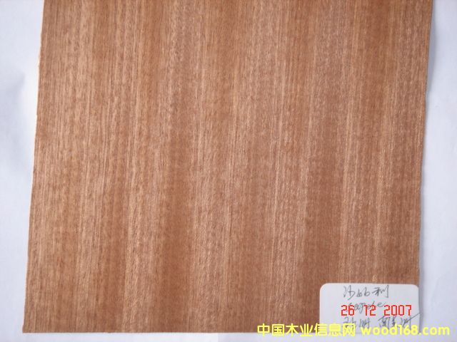 ɳ������������������