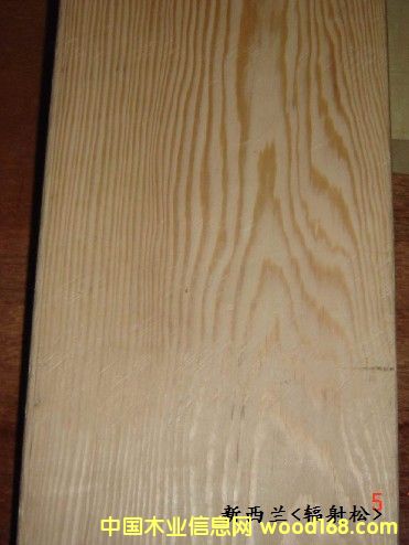 �����Ԕ����B