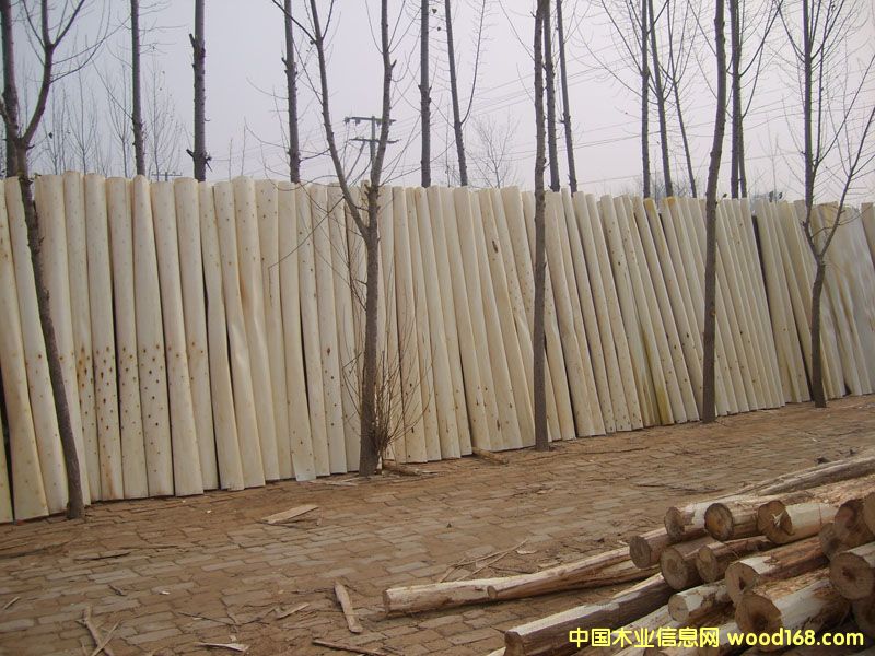 ��ľƤ��Ԕ����B