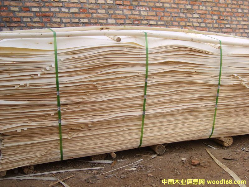 ��ľƤ��Ԕ����B