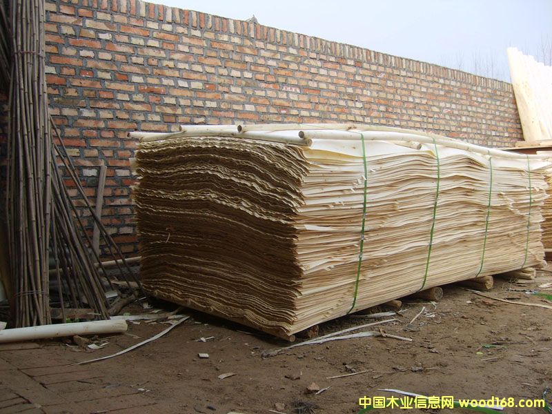 ��ľƤ��Ԕ����B