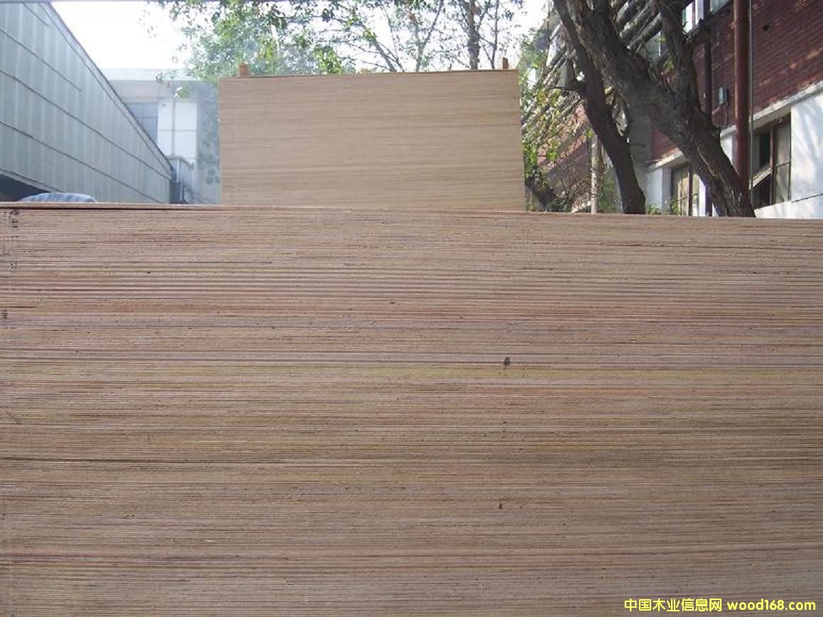 ȫ�sľ�ͺϵذ����