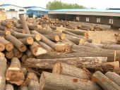 ԭľ��Ԕ����B