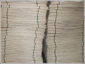 ��ľо���Ԕ����B