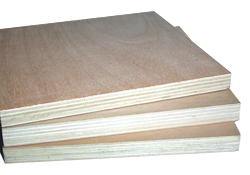 �z�ϰ�1��Ԕ��(x��)��B