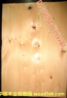 ��ɼľƤ��Ԕ����B