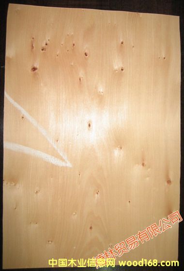 ��ɼľƤA��Ԕ����B