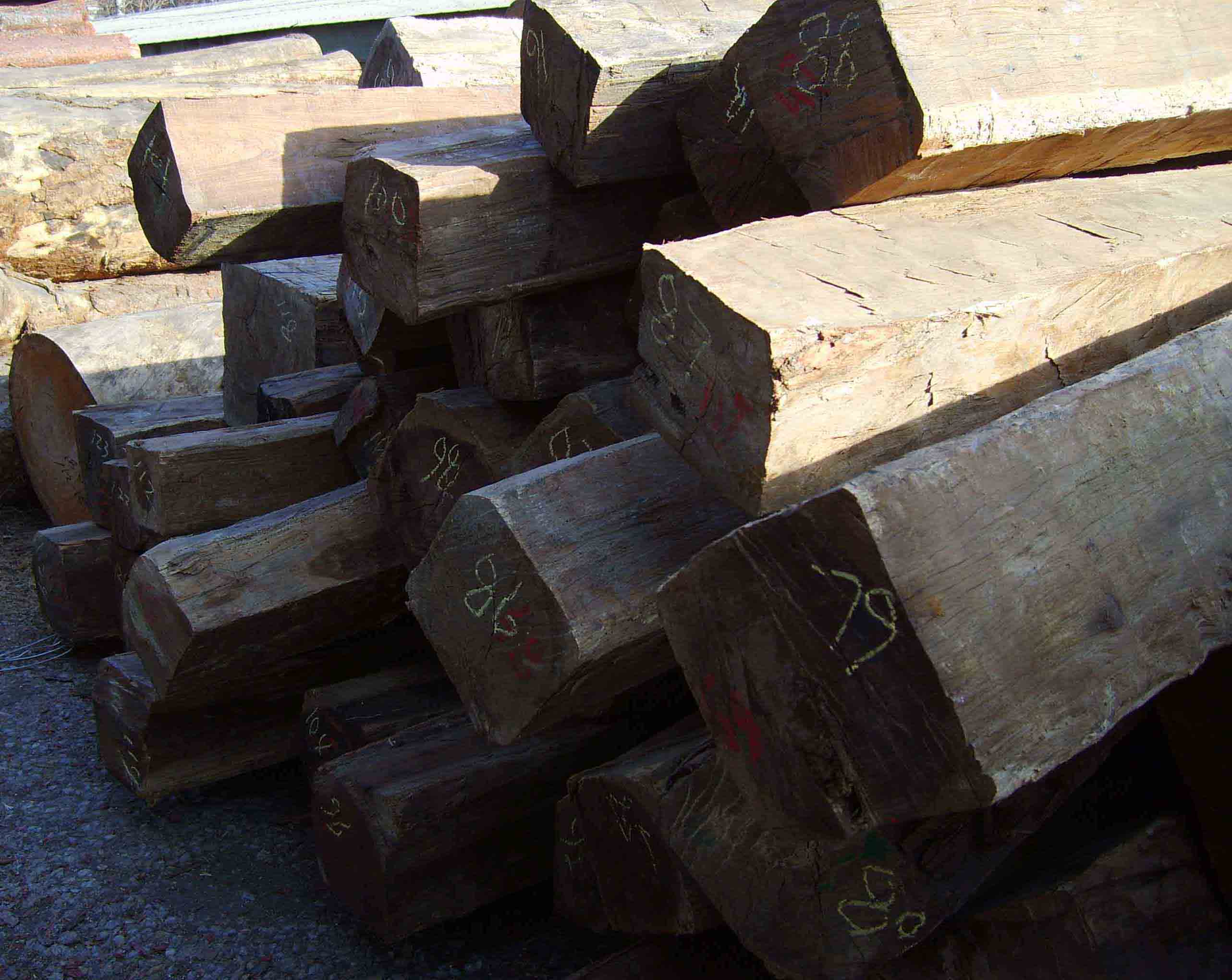 �S�u��ľ����Ƭ