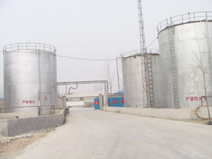 ��ȩ��Ԕ����B