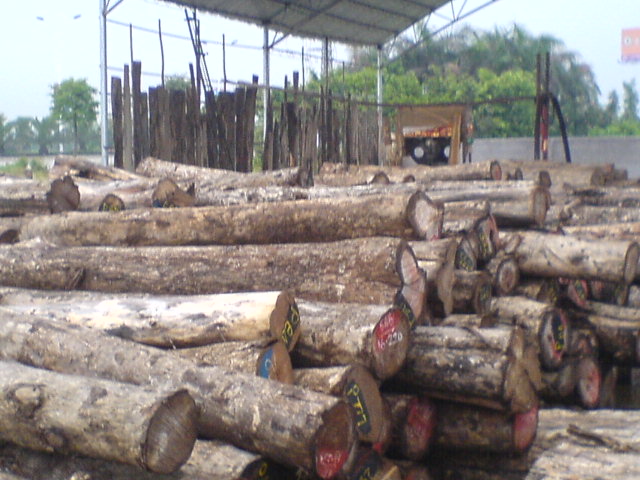 ��ľԭ�ĵ�Ԕ��(x��)��B