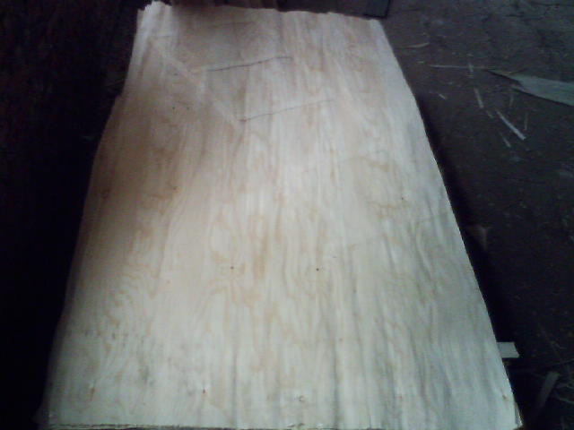 ������Ƥ��Ԕ����B