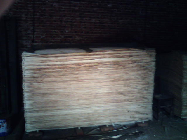 ������Ƥ��Ԕ����B