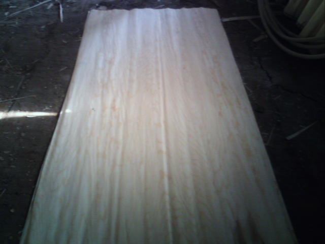 ������Ƥ��Ԕ����B