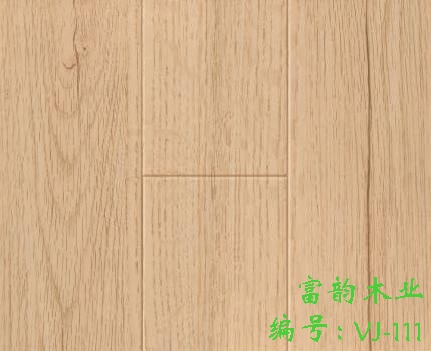 ģ���ذ��Ԕ����B