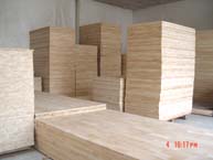 ̩�����zľָ�Ӱ�