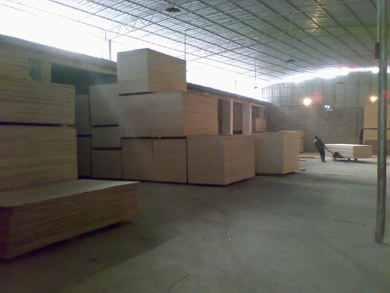 ȫɼľ��(x��)ľ�����Ԕ��(x��)��B