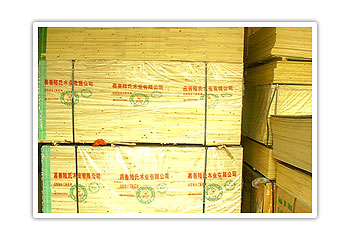 ��ľ����