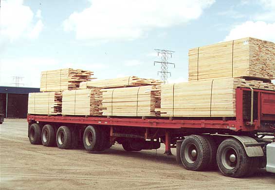 ����Ԕ����B