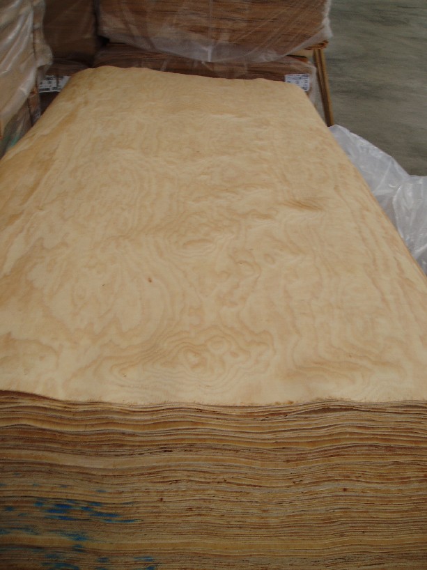 ݗ���Ɇΰ��Ԕ����B