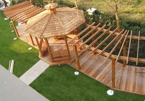 ����ľ��Ԕ����B