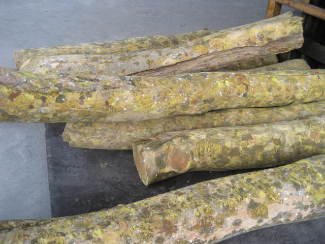 �G̴PALO SANTO��Ԕ����B