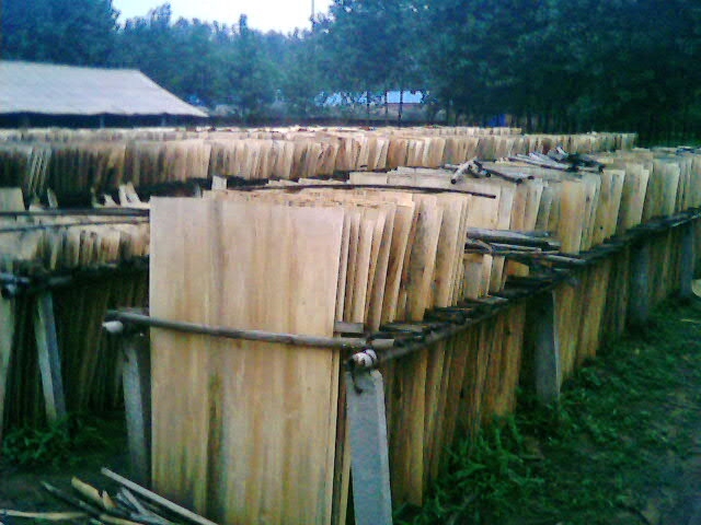 ��ľ���Ԕ����B