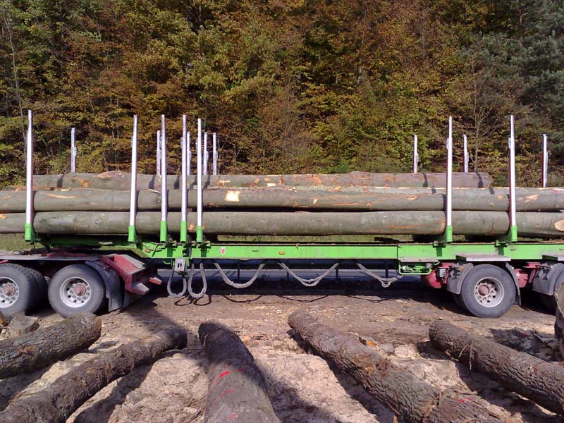 ��ľBC ��ԭľ��Ԕ��(x��)��B