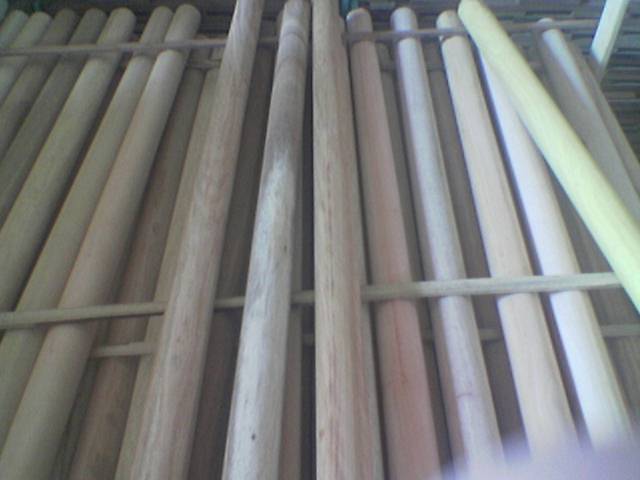 ����ľ�������������Ԕ����B