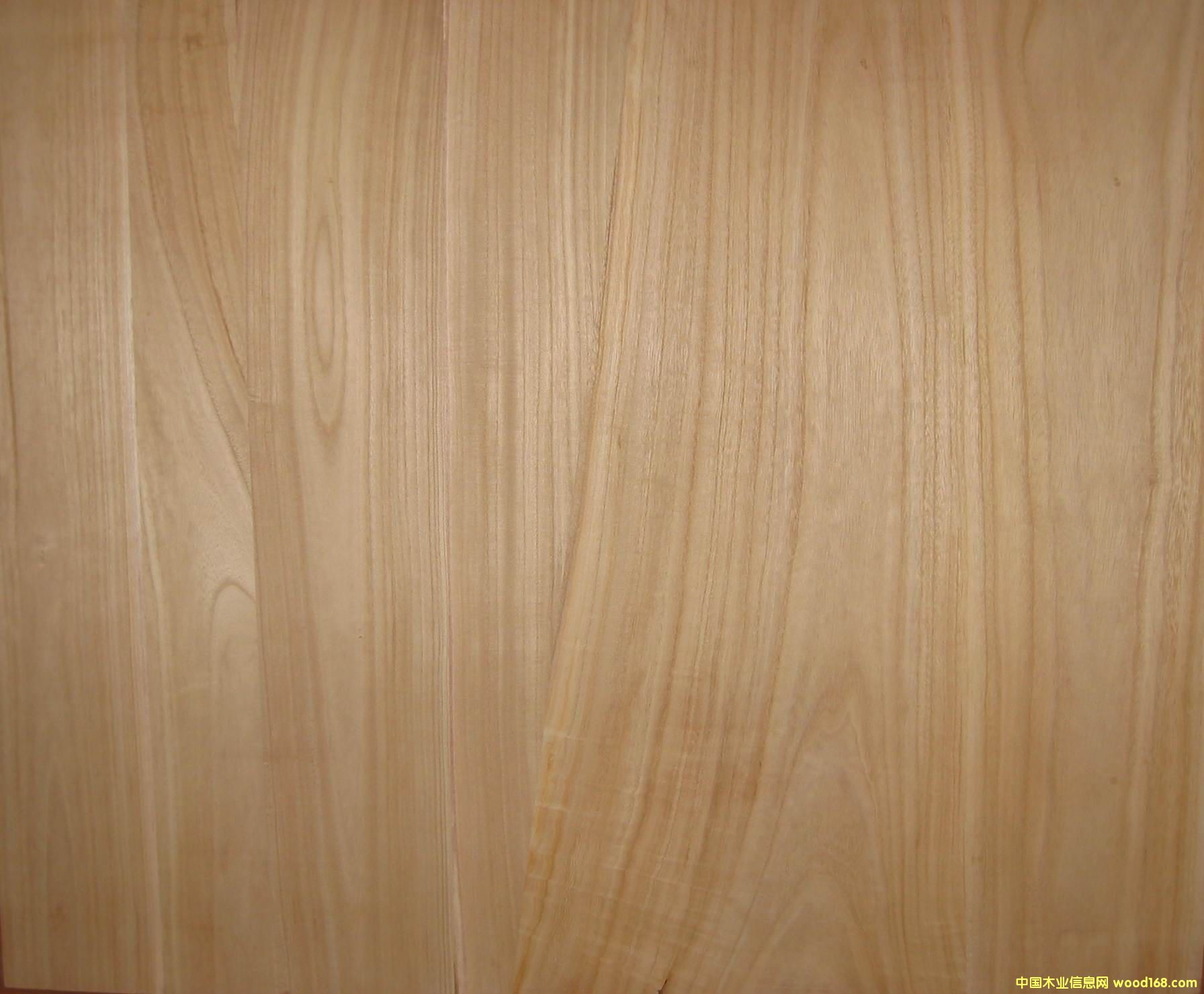 ָ�Ӱ��Ԕ����B