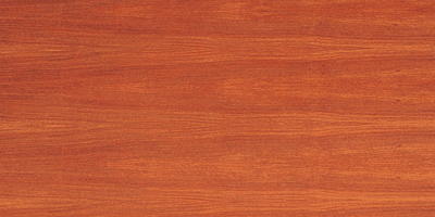 ����tľ��Ԕ��(x��)��B