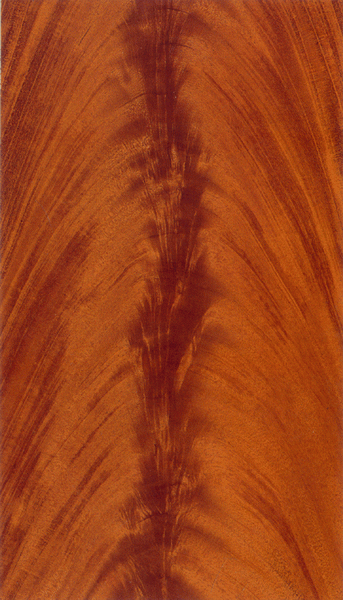 �һ�о����Ԕ��(x��)��B