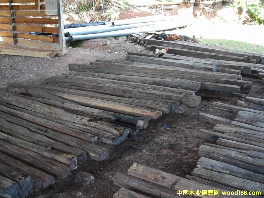 ӡ���̴ľ��Ԕ����B