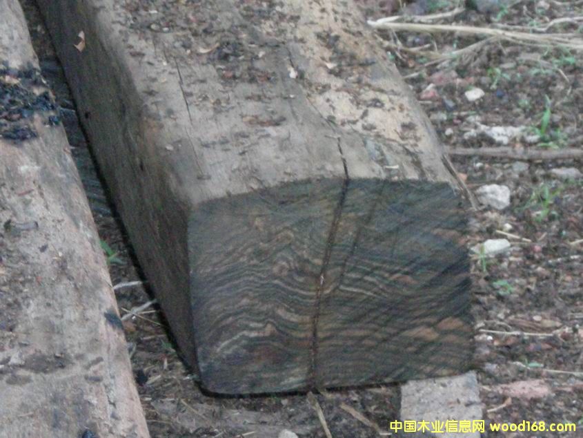 ��̴ebony��Ԕ����B