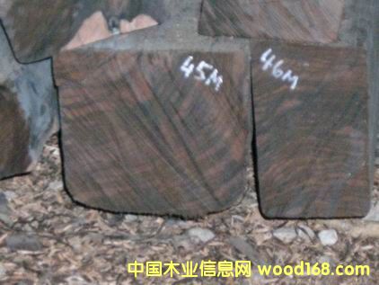 ӡ���̴ľ��Ԕ����B