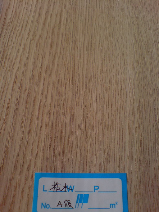 ��ľ�ذ���ľƤ��Ԕ����B