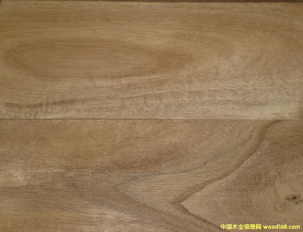 ��˼ľľ�ʣ��ذ��ϵ�Ԕ����B