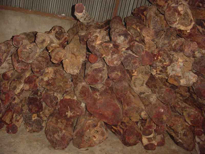 ӡ�Ȯa(ch��n)С�~��̴